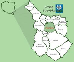 Geodezja Strzyżów